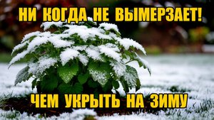 САМОЕ НАДЁЖНОЕ укрытие на зиму ТОП 7!