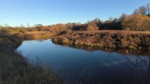 Река Уводь. ч.8. Ноябрь 2025