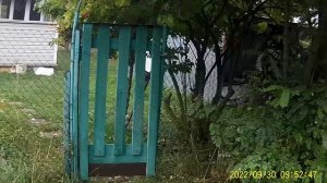 ПРОДАЁТСЯ ДОМ С ЗЁЛЁНОЙ КРЫШОЙ участок 10 соток.