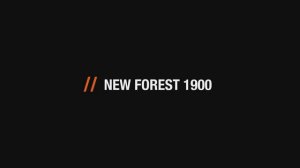 Электрический камин British Fires New Forest 1900 Deluxe Real logs от Уютнофф