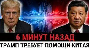 Трамп просит помощи у Китая  положение США в Азии рушится на глазах, союзники уходят на Восток