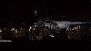 STALKER ambience | Ночной Янтарь