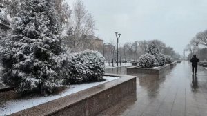 Маленькая прогулка по бульвару Победы г. Омск // Пришла настоящая осень