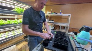 Сибирский огород.Выпуск 7