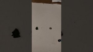 Обзор на все новое для бумажных собак
У меня собственная фирма для бумажных собак??