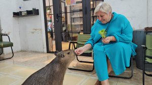 Вьетнам. Нячанг. 30.10.2025