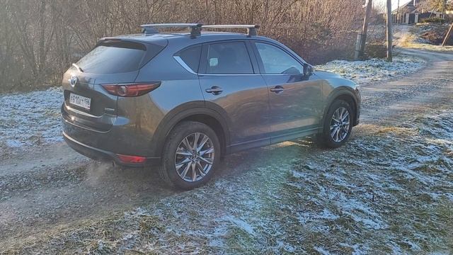 20251104_142937 смотреть онлайн