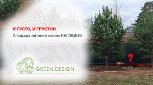 И густо, и грустно…