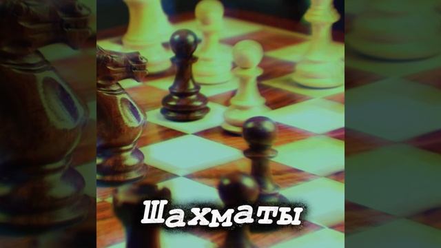 Шахматы