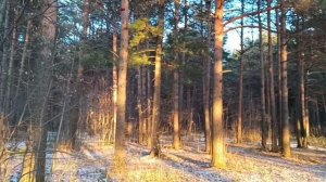 Парк " Сайма" в Сургуте.