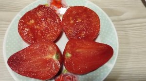 Выставка и обзор томатов селекции Алифирова