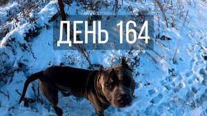День 164