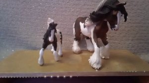 обзор на мою коллекцию