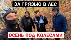 ЗА ГРЯЗЬЮ В ЛЕС / ОСЕНЬ ПОД КОЛЁСАМИ #15 #мтб #велобратство #велосипед #новороссийск #papa_den