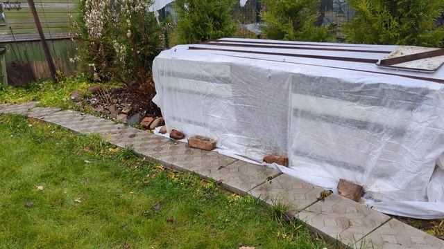 07-11-2025.Дача..Накрываем..Розы.. Рододендроны..(02.11.-04.11.25)