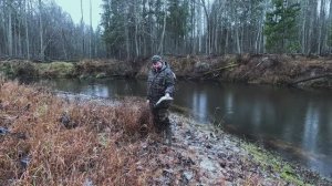 Рутка.Спиннинг.