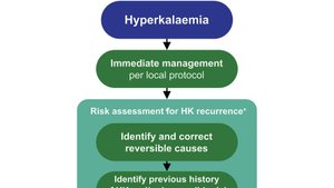 Опасный парадокс: Междисциплинарные рекомендации по рецидивирующей гиперкалиемии (GUARDIAN-HK)