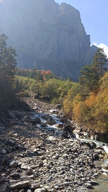 РСО- Алания 2025