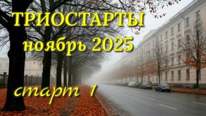 Одиннадцатый котошарф спицами из интересной пряжи. Старт 1 в СП Триостарты ноября. Начало процесса