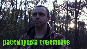 В поиске советов в городском лесу | Удачно прошёлся по тропе