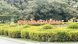 Москва. Знаменитый Парк Горького.