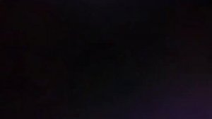 Благоухающий цветок расцветает с достоинством/ Очаровательный цветок расцветает с достоинством