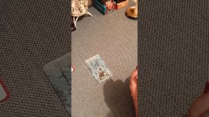 Таро для мужчин. БЫВШАЯ, ПРОСТО ЛЮБОПЫТНО, КАК ОНА?..