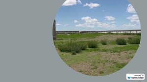 Фамилия Альгин: происхождение и значение, история его корней и современное склонение - всё, что вам