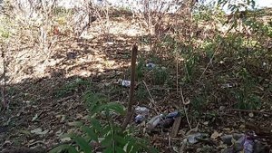 Кисловодский срач возле Нарзанного бювета! Где глаза мэрии и ее депутатов? 4.11.2025 г.