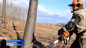 Вести. Красноярск от 04.11.2025