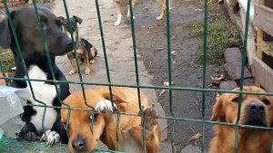 На улице ноябрь, погода стоит в эти дни просто волшебная. Золотая осень рассыпала разноцветные краск