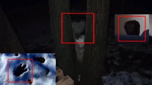 Топ 5 Странных существ и криптидов снятых на камеру | Страшные видео