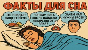 Факты от которых ты ТОЧНО уснешь!