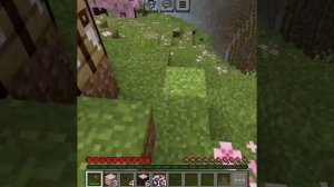 РАЗОБЛАЧЕНИЕ НА ХЕРОБРИНА(похоже он существует..)