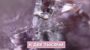 Что изменится на Дальнем Востоке к 2036?