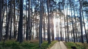 Ноябрь в любимом парке..