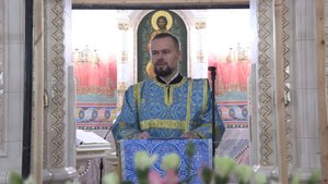 Проповедь диакона Романа. 4 ноября 2025 года