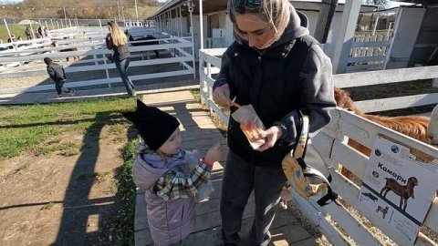 Капибары.mp4