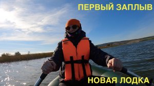 Первый заплыв