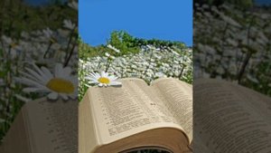 День Жатвы настал  _ KRASHVE