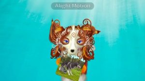 я старалась 😺❤️