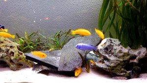 Дизайн без названия (22)