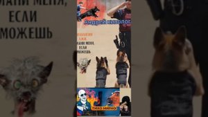 Инвестиции для Савелия