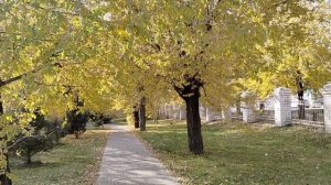 С чего начинается Родина.