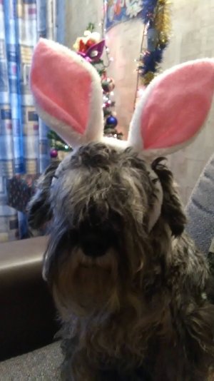 Иди со мной, Человек!. )!😆