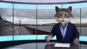 Прогноз погоды в Санкт-Петербурге на 04.11.2025 от котика.