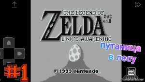 The Legend of Zelda #1 енот в лесу