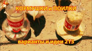 Кормушки и поилки для кур своими руками (213) 🪚✂️ Пошаговая инструкция как сделать 🐔 🐓❣️