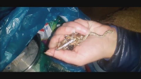 Альманах Мусорщика.