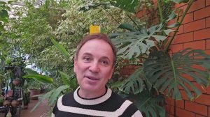 Век живи, век учись (эпифиллюм)